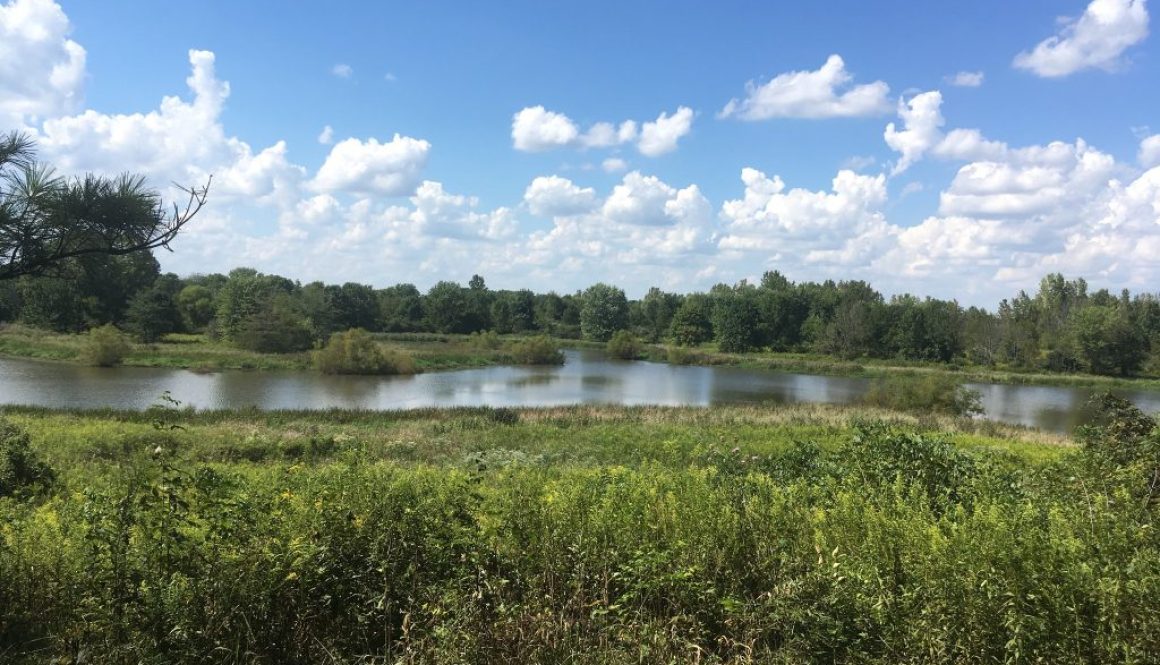 Ohio Division of Natural Areas and Preserves photo of Stages Pond in Ashville Ohio