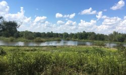 Ohio Division of Natural Areas and Preserves photo of Stages Pond in Ashville Ohio