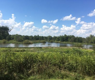 Ohio Division of Natural Areas and Preserves photo of Stages Pond in Ashville Ohio