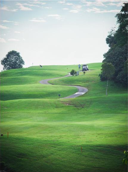 Scenic green golf course with winding cart path, generic stock photo
