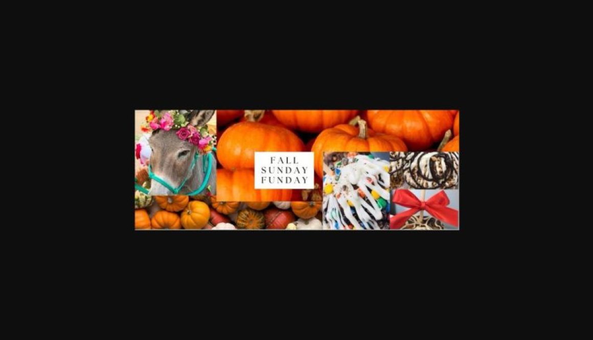 Fall Sunday Funday collage with pumpkins, decorated donkey, and caramel apples at Rhoads Garden Center
