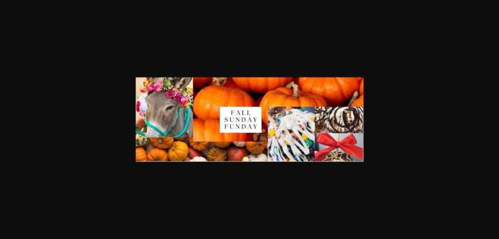 Fall Sunday Funday collage with pumpkins, decorated donkey, and caramel apples at Rhoads Garden Center