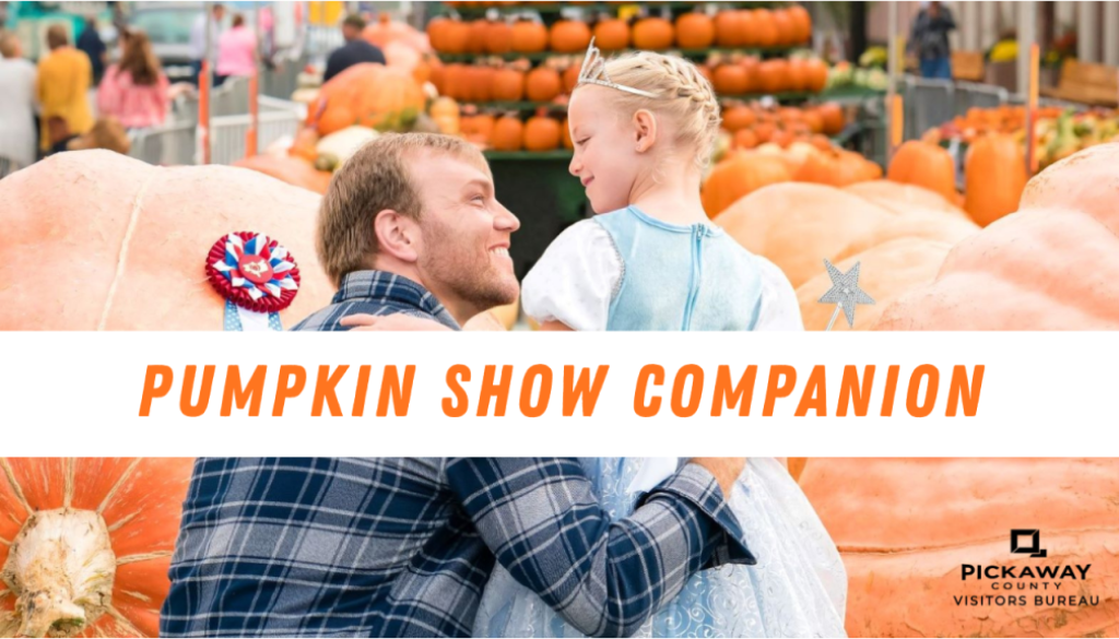 Pumpkin Show Companion: family visiting the giant pumpkin display